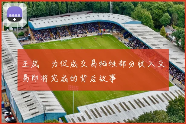 王岚嵚为促成交易牺牲部分收入交易即将完成的背后故事